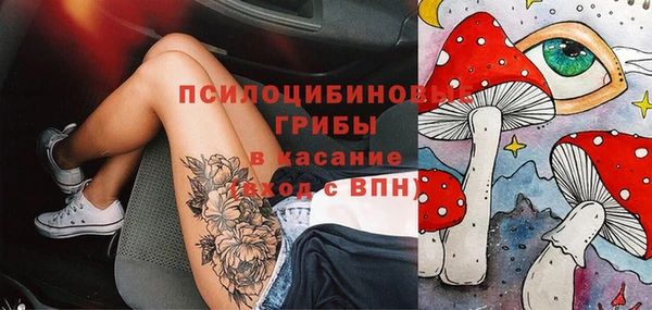 прущий лед Богородск