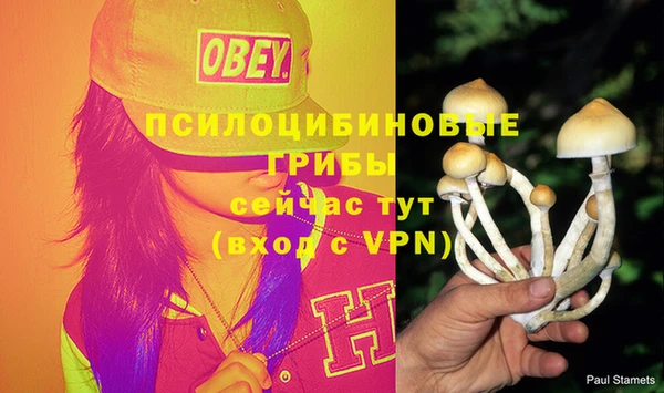 PSILOCYBIN Бронницы