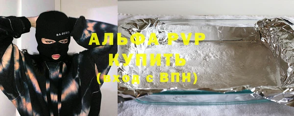 spice Бородино