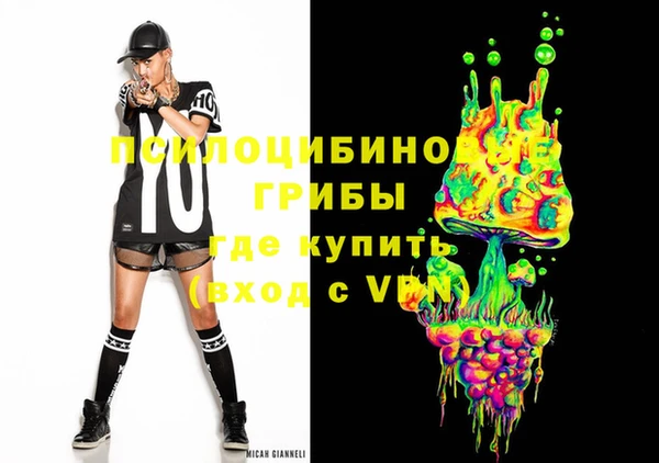 spice Бородино