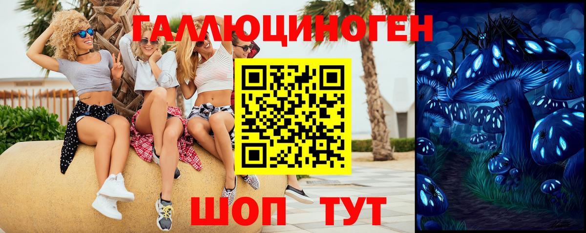Бузулук  Галлюциногенные грибы MAGIC MUSHROOMS  Вход с VPN 