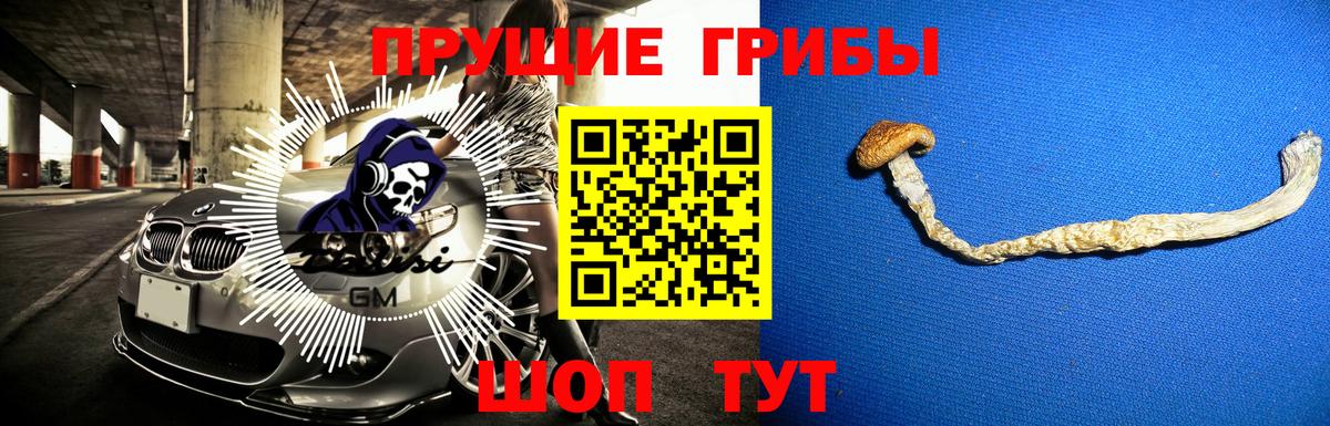 Галлюциногенные грибы MAGIC MUSHROOMS Бузулук